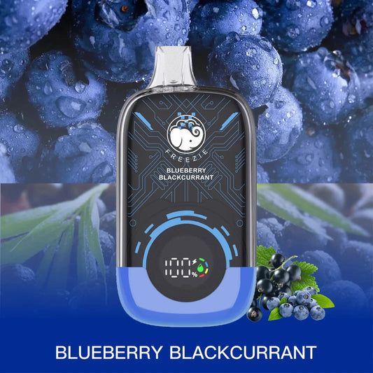 Freezie Blueberry Blackcurrent Disposable vape – 15000 Puffs