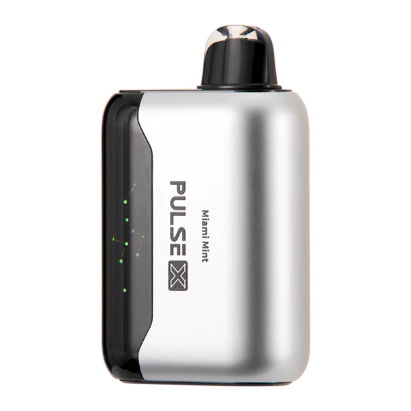 Miami Mint Geek Bar Pulse x 25k