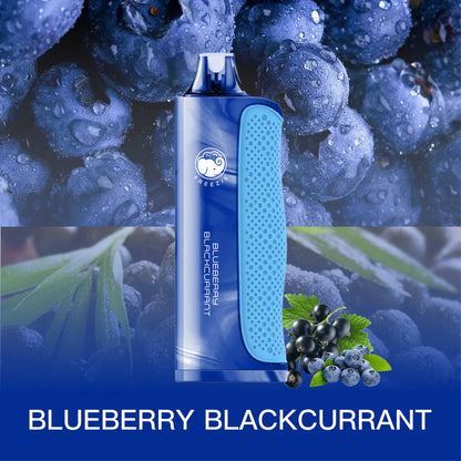 Blueberry Blackcurrant - 8000 Puffs Disposable Vape