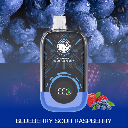 blueberry Sour Raspberry Vape 15000 Puffs