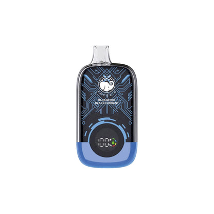 Blueberry Blackcurrent Disposable vape – 15000 Puffs
